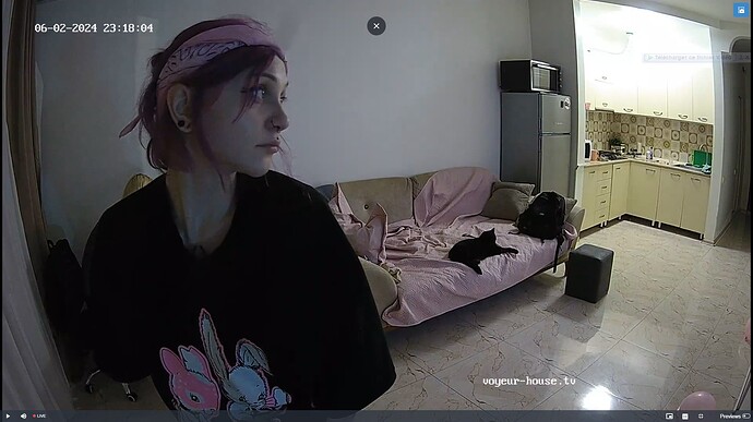 Ashampoo_Snap_dimanche 2 juin 2024_21h18m28s_031_Living room camera at Inira & Unuk reallifecam apartment at Voyeur House TV (cam13) - Google Chrome