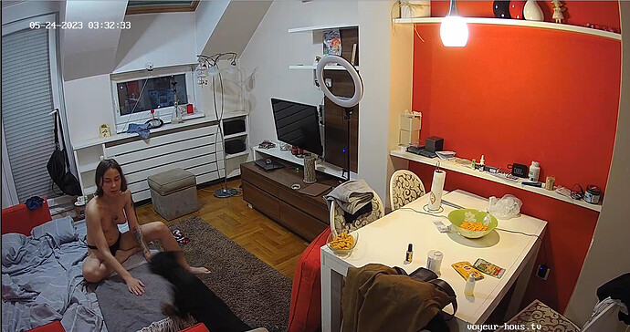 Screenshot 2023-05-23 at 22-36-06 Living room camera at Silver & Bradley reallifecam apartment at Voyeur House TV (cam13)