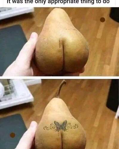 FB_IMG_1682357838078