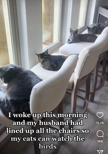 main-qimg-57483d45343d291a4acd27ca98cac855