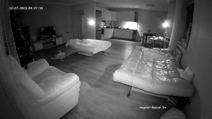 Struggles for the throne 1