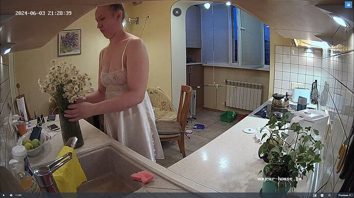 Ashampoo_Snap_lundi 3 juin 2024_20h29m4s_076_Kitchen camera at Mustafa & Magnolia reallifecam apartment at Voyeur House TV (cam11) - Google Chrome