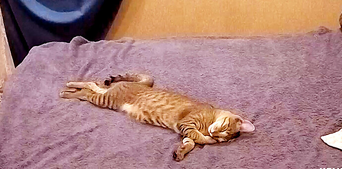 bandicam 2023-09-23 18-54-38-792