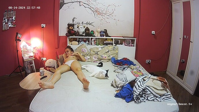 realm60-cam16-1723673896