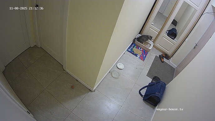 realm10-cam19-1762625596