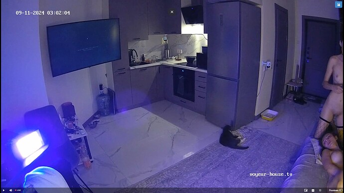 Ashampoo_Snap_mercredi 11 septembre 2024_2h2m41s_011_Kitchen camera at Andreza reallifecam apartment at Voyeur House TV (cam11) - Google Chrome