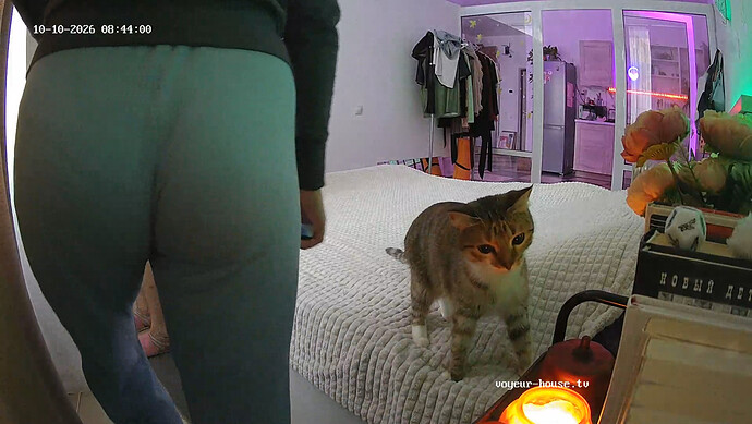 realm64-cam18-1791611328