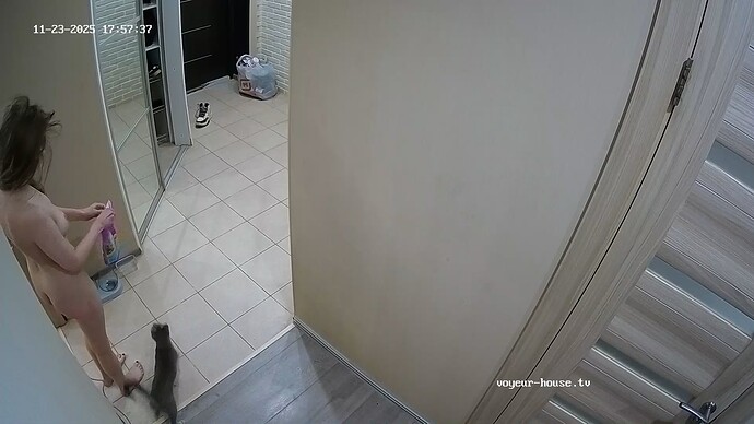 realm62-cam111-1763910163