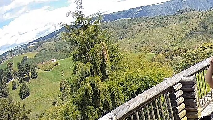 realm139-cam18-1768758661.jpgvz