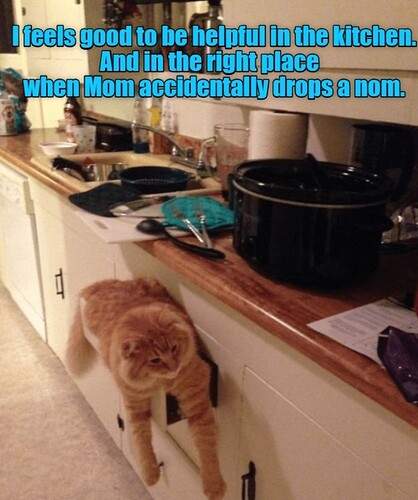 main-qimg-8540597cf6dd070bac8a09c738a0e0f9