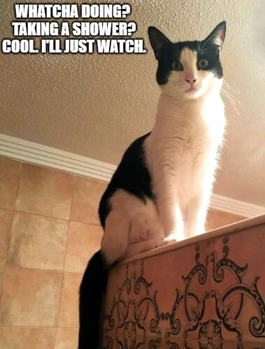 main-qimg-ede963120a051bc282ba559f29c95f79