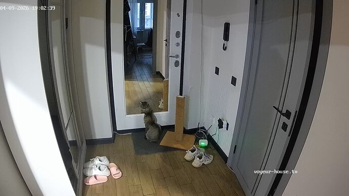 Noldus 2026-04-09 18-03-12-141