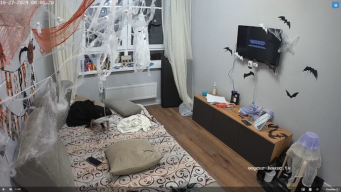 Screenshot (23238)