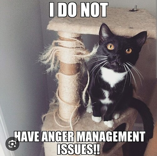 main-qimg-71a8e3cf07ccf2cd2c8c349c2885991f