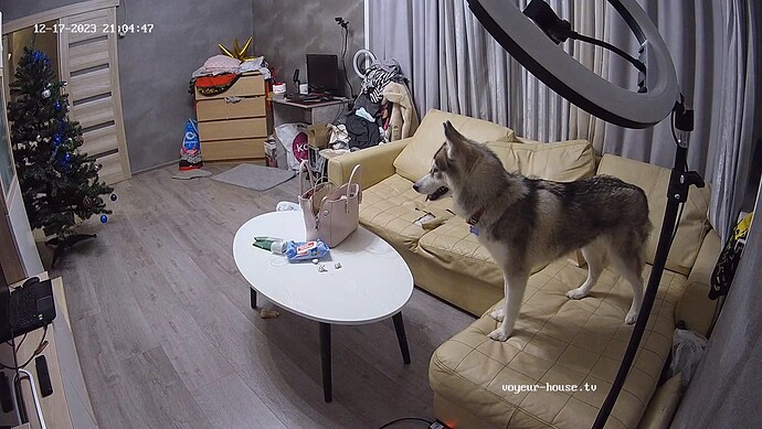 realm62-cam13-1702836323