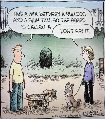 bulls__t