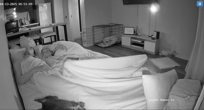 Ashampoo_Snap_dimanche 13 avril 2025_4h51m56s_001_Living room camera at Lyalya reallifecam apartment at Voyeur House TV (cam14) - Google Chrome