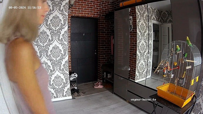 realm8-cam114-1722851542