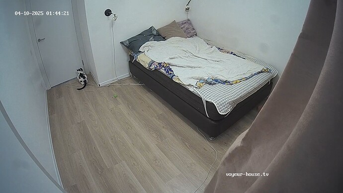 realm93-cam17-1744238704