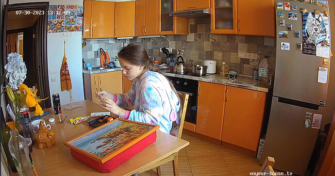 Screenshot 2023-07-30 at 06-18-52 Kitchen camera at Ariela & Sebastian reallifecam apartment at Voyeur House TV (cam12)