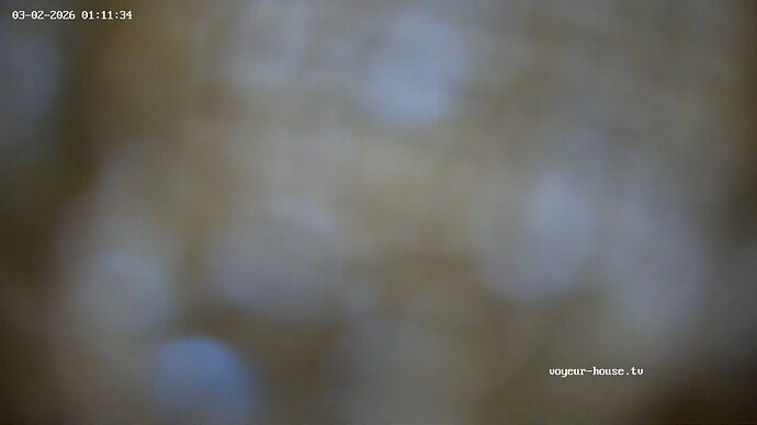 realm126-cam113-1772403134