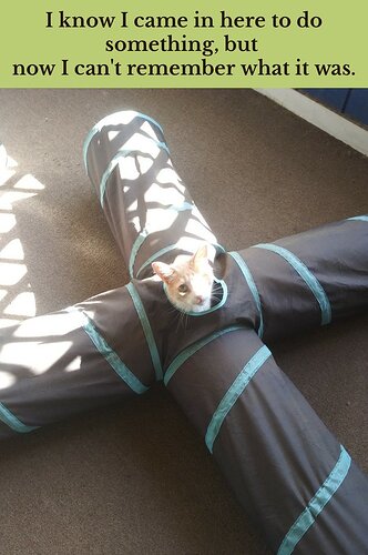 main-qimg-361b10c2bc905e83ea87875829f225f5-lq