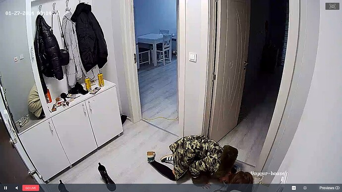 Noldus 2024-01-27 09-03-23-395