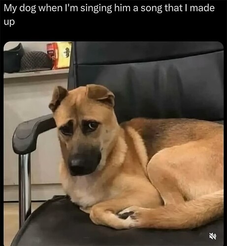 My Dog