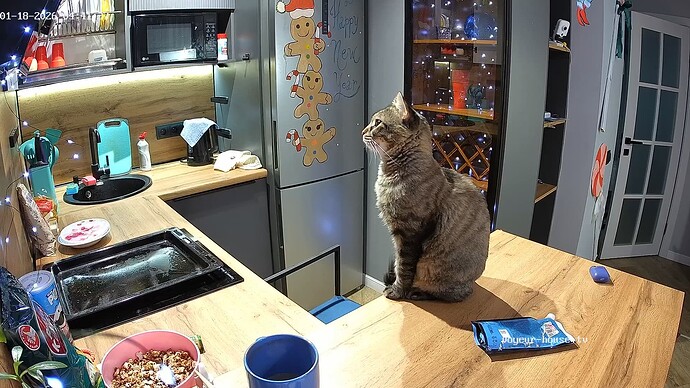 realm144-cam12-1768700542