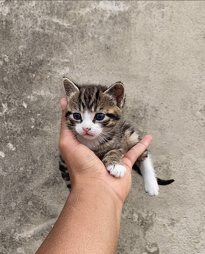 main-qimg-06a0e5df7cab2a5344efae9128a886a6