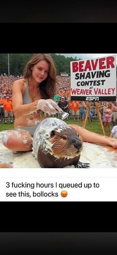 681962229_27775748648680659_6646229819907335674_n