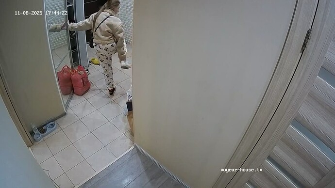 Screenshot 2025-11-08 at 21-24-02 Hall camera at Evelyn Lippo reallifecam apartment at Voyeur House TV (cam111)