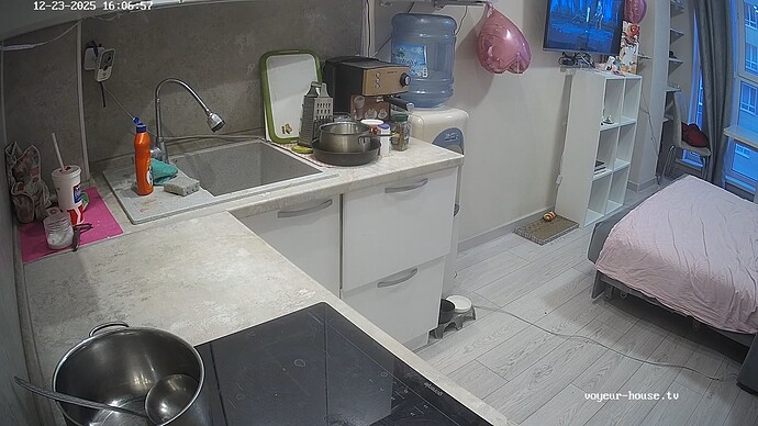 realm134-cam11-1766495249