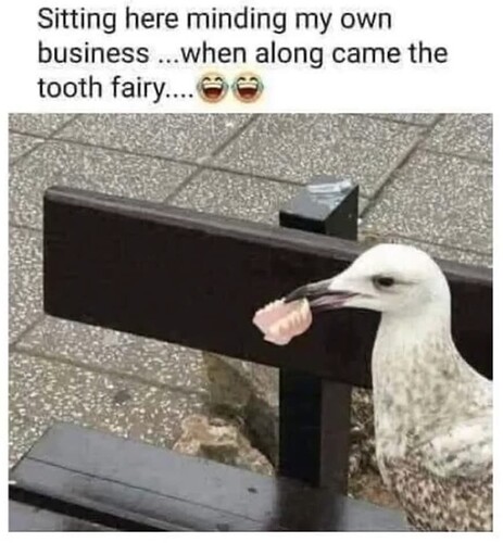 Tooth Fairy