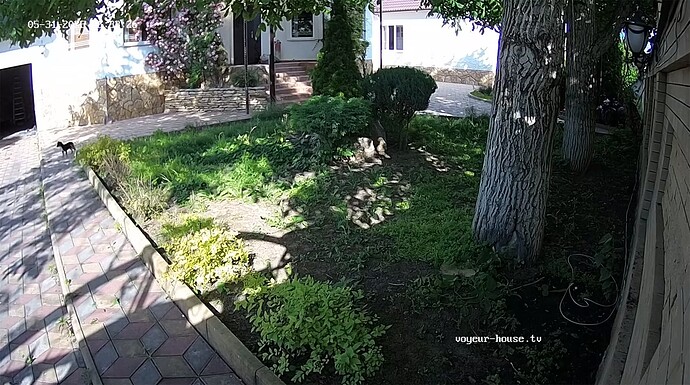 GOF
