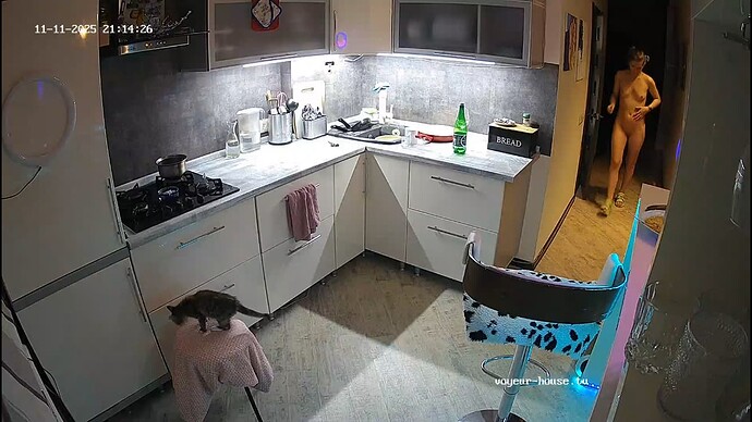 Screenshot 2025-11-11 at 19-31-05 Kitchen camera at Shana reallifecam apartment at Voyeur House TV (cam12)