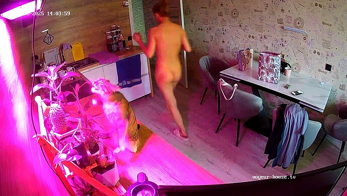realm64-cam12-1743937702