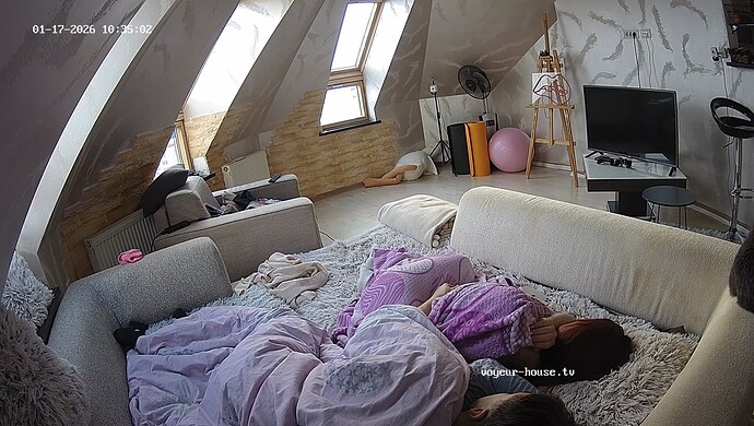 realm8-cam16-1768648539