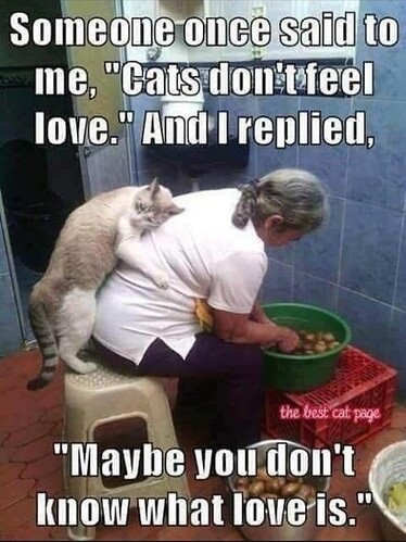 main-qimg-0ff225e894b0aa834dffe007323fdafb