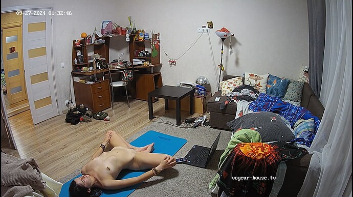 Ashampoo_Snap_vendredi 27 septembre 2024_0h33m11s_010_Living room camera at Camille reallifecam apartment at Voyeur House TV (cam15) - Google Chrome