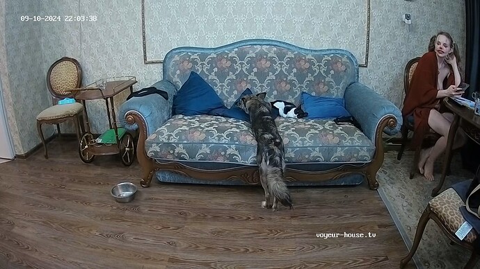 realm95-cam16-1725995054