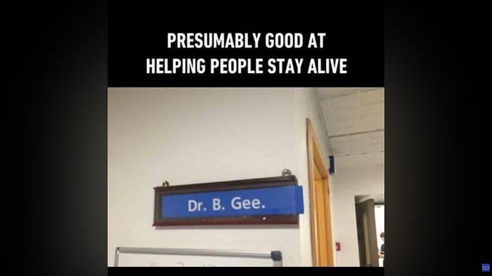 Bee Gee