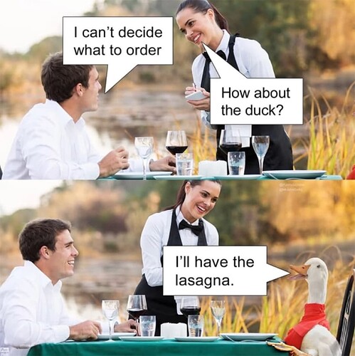 Duck