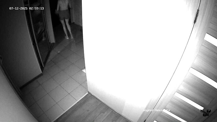 realm62-cam111-1752278576