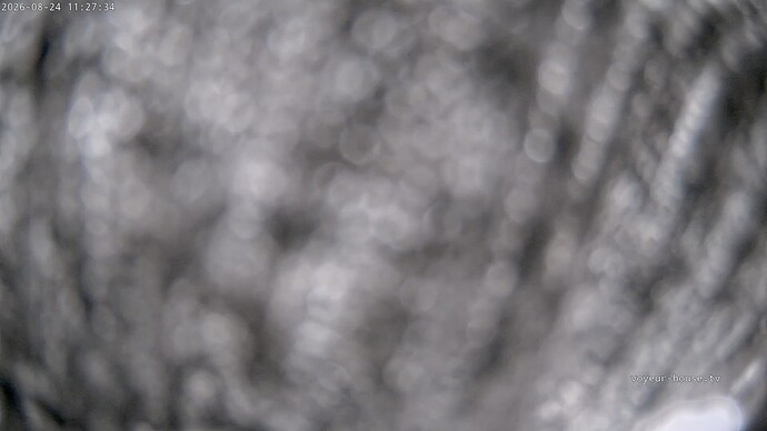 realm162-cam17-1787573250