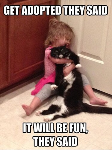 main-qimg-e6012bddc4e7682cce7aba0f8c63ecbf