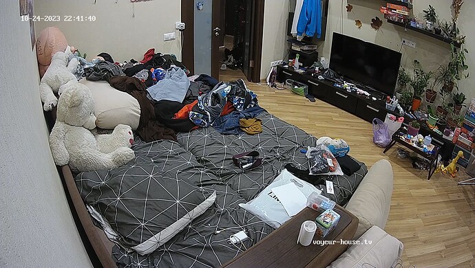 realm37-cam16-1698176535