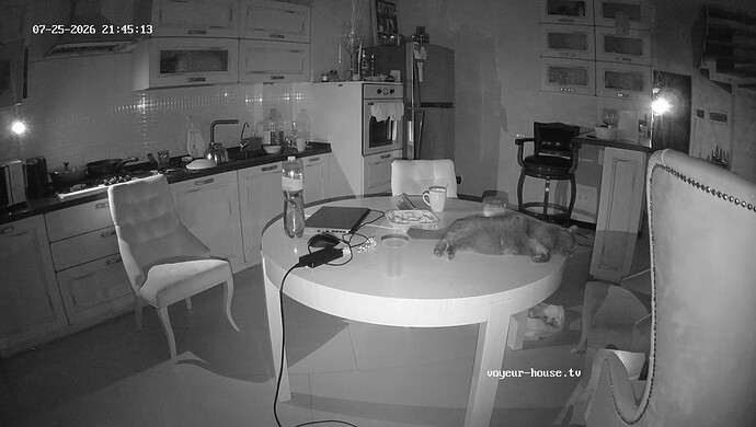 realm8-cam12-1785005151