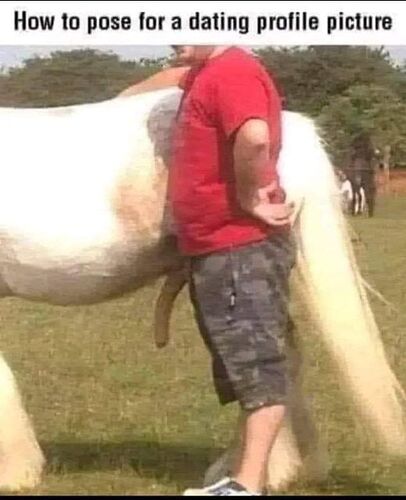 445528580_2734110870061501_4512618394601963059_n