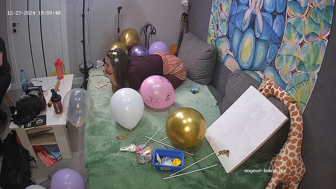 realm90-cam13-1735318833 (1)